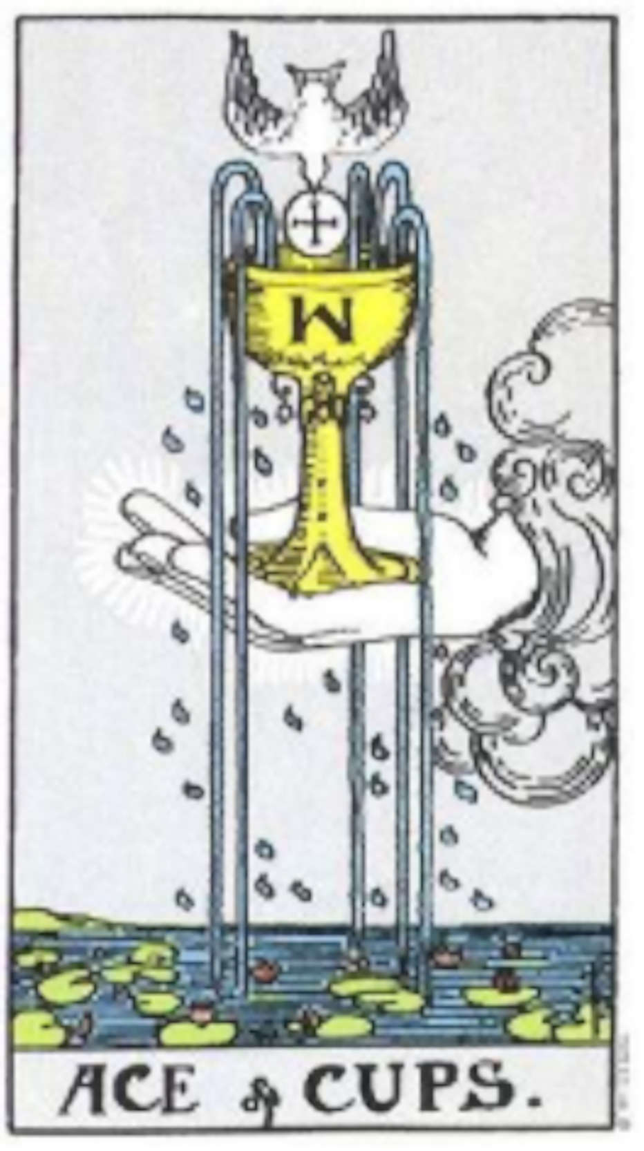 Tarot Card
