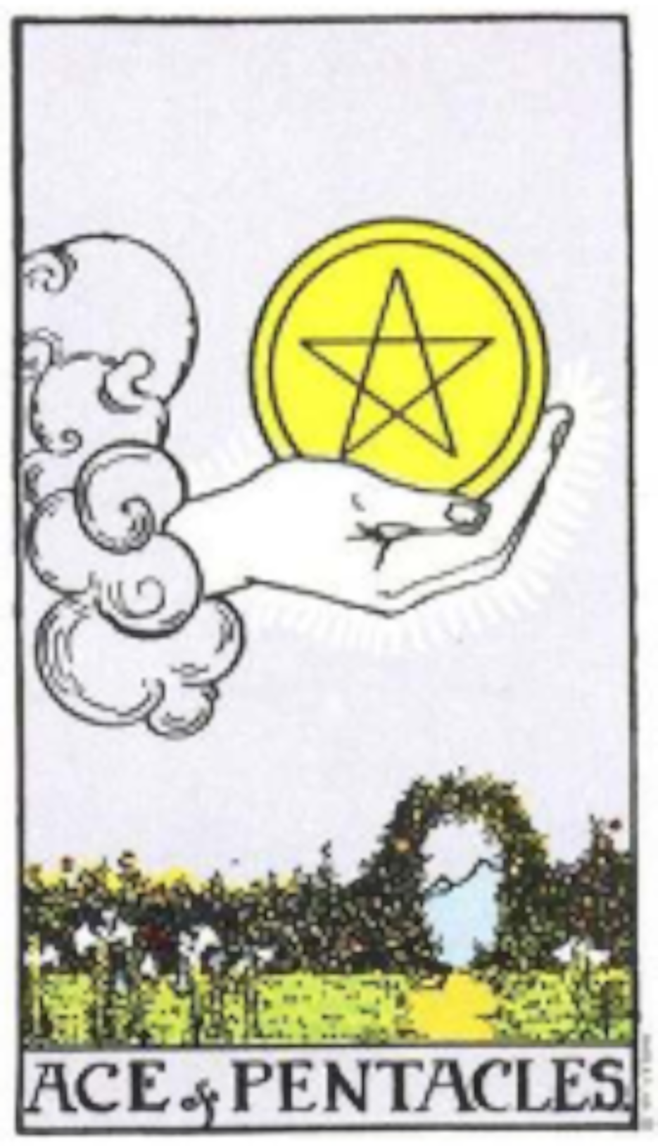 Tarot Card