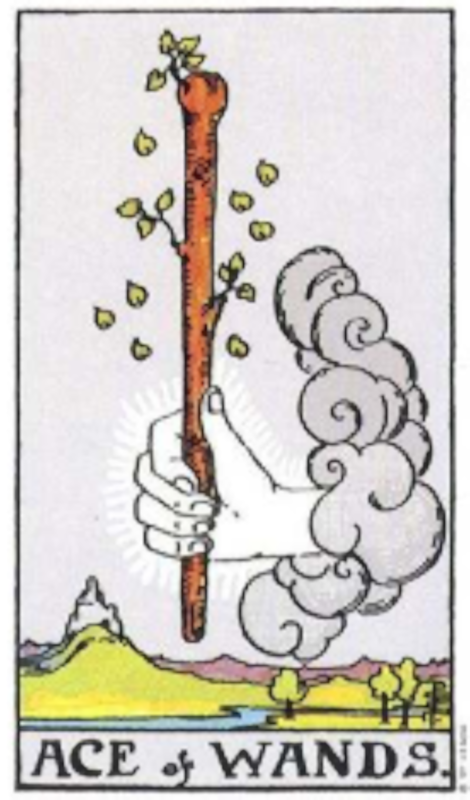 Tarot Card